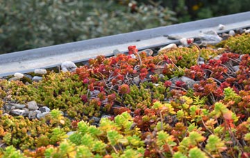 the cost of Belfast green roof installation