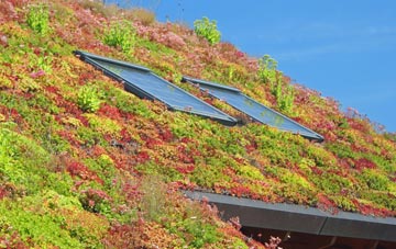 Belfast living roof systems