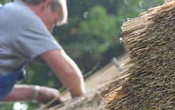 professional Belfast thatchers